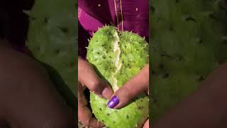 Soursop Harvest #bangalore #farmhouse #thinkgreen #soursop #lakshmanaphala