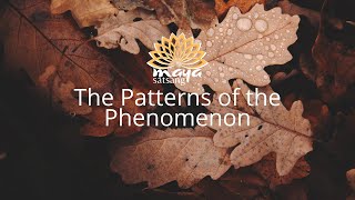 Maya - The Patterns of the Phenomenon