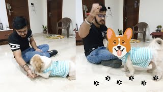 OREO wapas aa gaya?? | #Diwali shopping shuru | Harshit Puri vlogs