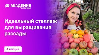 Как выбрать функциональный стеллаж для выращивания рассады?