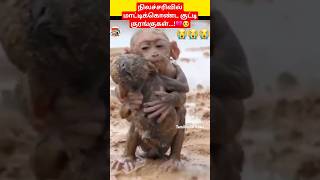 Baby monkeys trapped in a landslide in Wayanad Kerala 💔😥|#shortsfeed #shorts #wayanadlandslide #news