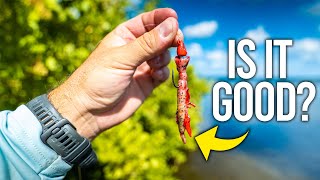 Scented Gulp Lobster Lure... is it good? (Lure Review)