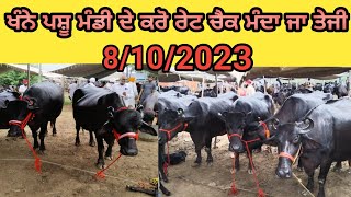 ਖੰਨੇ ਮੰਡੀ 8/10/2023 ਦੇਖੋ ਅੱਜ ਦੇ ਰੇਟ #khanna #mandi #viral #popular