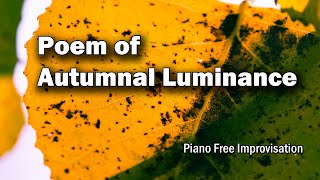 Poem of Autumnal Luminance | PIANO Free Improvisation