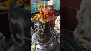 Brahmand ke maalik=shiv bhagvan #shiv #shivshankar #shivparvati #shivpuran #trending #love #shiva