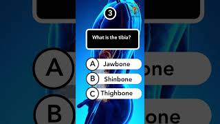 Anatomy Quiz Part 4 #short #anatomyquiz #anatomy