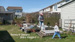 Ronny & Ossians rikare trädgård