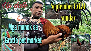 Up date mga manok sa grotto pet market,September 1 2024 sunday