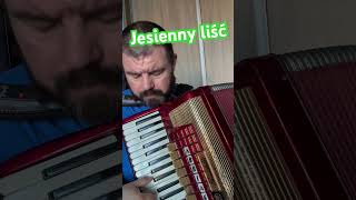 Jesienny liść  Akordeon #accordion #akordeon #piosenka #muzyka #miłość #biesiada #granie #shorts