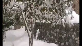 NEVE A BISENTI 2012