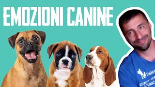 Emozioni canine.