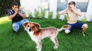 SHAVING PUPPY INTO LION PRANK!! (ADORABLE)