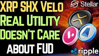 XRP/SHX/Velo: DON'T GET SHAKEN OUT NOW (Utility WINS)