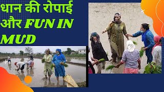 DHAAN KI ROPAI MUD FACIAL AND FUN AT  DR. RAMOLA FARMS BHAGWANPUR BHAUWALA DEHRADUN