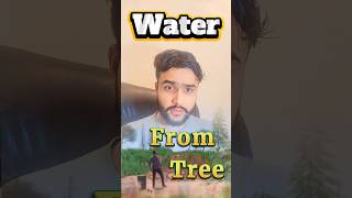 Water running from the trees | Praveen Faujdar #savewater