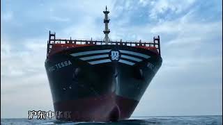 World's largest container ship, the MSC Tessa