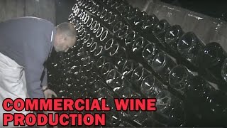 Commercial Wine Production | Nirvana People