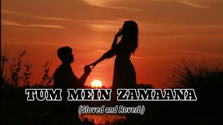 Tum Mein Zamana | (Slowed+Reverb ) | Ajay Paul | #lofi #slowedandreverb #slowedreverb