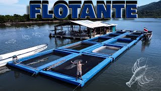 Así es un RESTAURANTE FLOTANTE y Una ISLA HABITADA en COSTA RICA🇨🇷🇨🇷🇨🇷