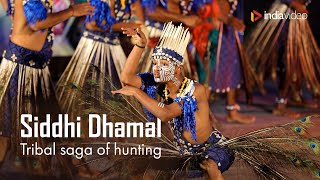 Siddi Dhamal | Tribal Saga of Hunting