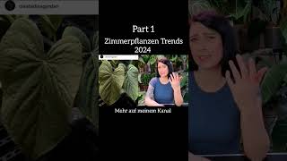 Zimmerpflanzen Trends 2024 | Part 1