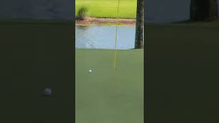 Best bunker shot ever?