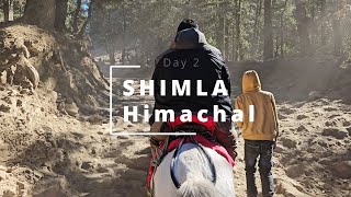 Kufri Shimla | Day 2 | Himachal Pradesh | 2024