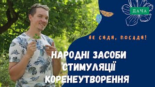 Народні Засоби Стимуляції Коренеутворення. Стимуляція Утворення Коренів.