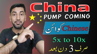 Top Chinese Coins Review || 5x to 10x in Three Days