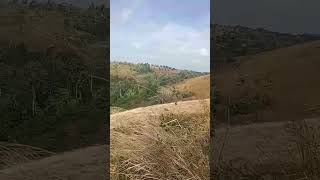 Dak Dam, Mondulkiri