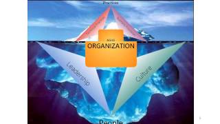 4 Aspects of Organizations