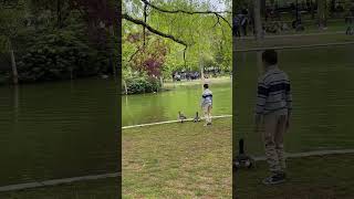 Boston Public Garden #viajar #vidanaamerica #ferias