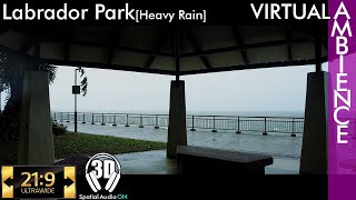 Labrador Park - Heavy Rain #labradorpark #ultrawidewalk #DJI #pocket2 #3dsound #4kwalk #ASMR #sgwalk