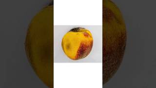 Peach Rotting Time Lapse #fruits #rotting #timelapse #shorts