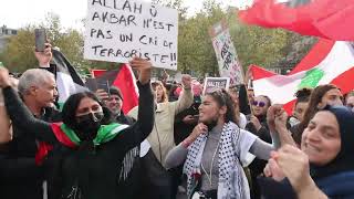 Manifestation pro-palestinienne à Paris:  pour dire "stop au massacre à Gaza"