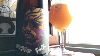 Mikerphone Educated Fool Double Dry-Hopped Double IPA Pour