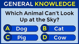 How Good Is Your General Knowledge? Take This 30-question Quiz To Find Out! #challenge 32