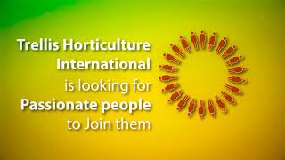 Trellis Horticulture International