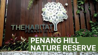 The Habitat Penang Hill | Things to Do in Penang With Kids | Nature Reserve