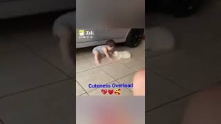 cute baby vs cute puppy 🤫😆😃😄