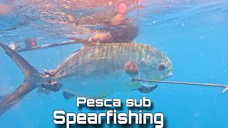 PESCARIA de PEIXÕES  GIGANTE em ALTO MAR ( PESCA SUB - SPEARFISHING )