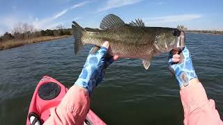 Fantabulous Fly Fishing day!