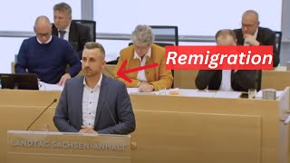 🧧EINFACH ERKLÄRT🧧 Ulrich Siegmund (AfD) - Remigration auf AfD Sprache heisst es...