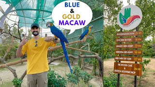 Witnessed this 'Unique' Bird in Chandigarh's Bird Park? | 😍Wonder Winged Bird | Part -2 #chandigarh