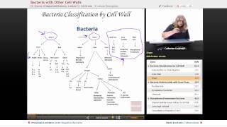 “Bacteria with Other Cell Walls” | Microbiology with Educator.com