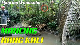 Mancing Wader/Kakul Di Sungai Bonus Ikan Mujahir