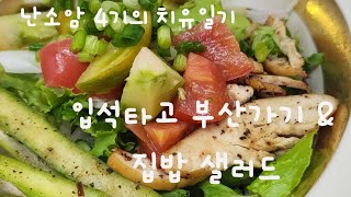 #29 입석타고 가는 부산 주말 여행 & 집밥 샐러드 3종