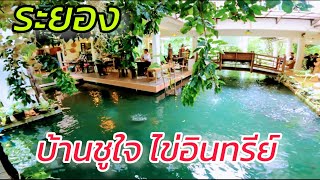 บ้านชูใจ ไข่อินทรีย์ ระยอง ฮิ