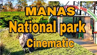 Manas National Park(Narenguri picnic spot)|| Northeast|| India||Cinematic video shot on  poco m2 pro