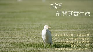 靈修:話語-剖開真實生命 20241014